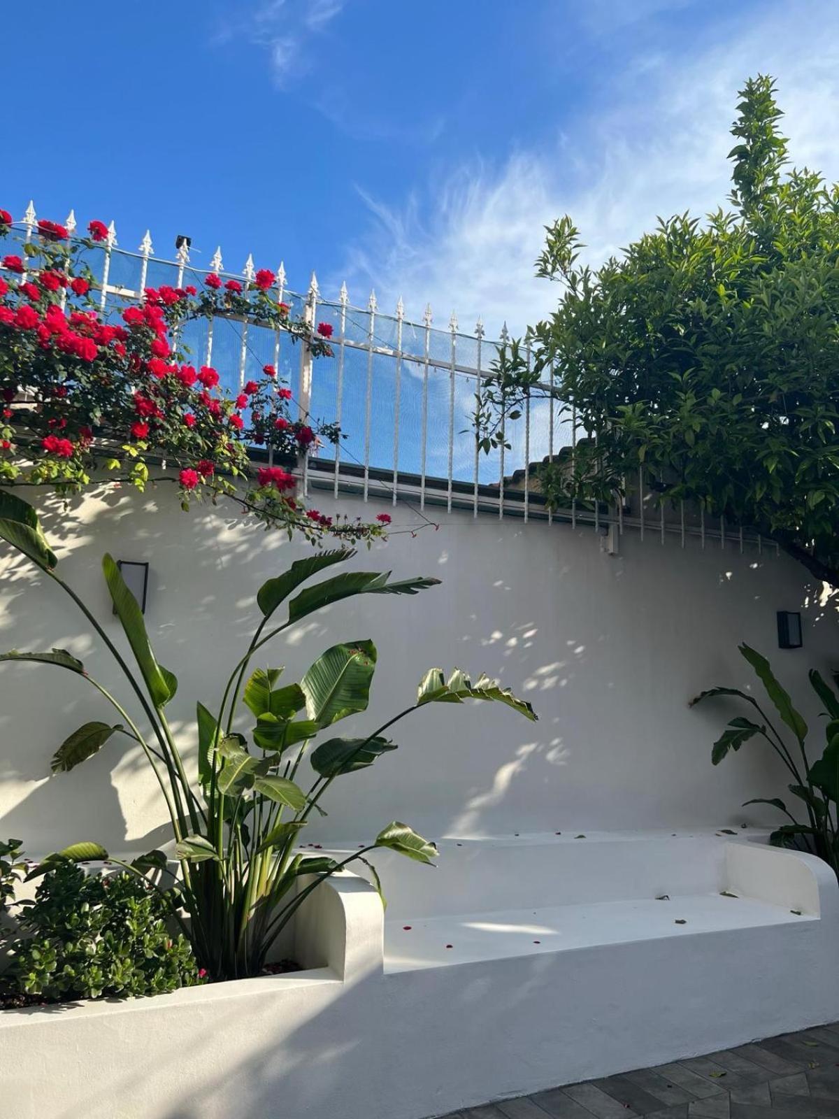 B&B Toci Volla  Exteriör bild